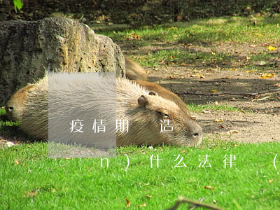 疫情期間造謠、傳謠會承擔(dān)什么法律責(zé)任
